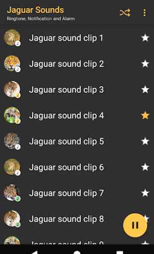 Appp.io - Jaguar Sounds 2