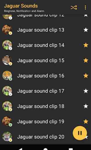 Appp.io - Jaguar Sounds 3