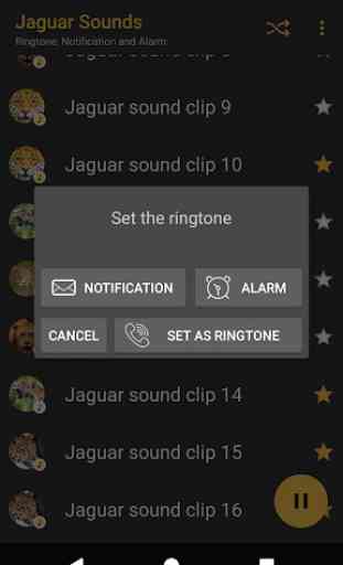 Appp.io - Jaguar Sounds 4