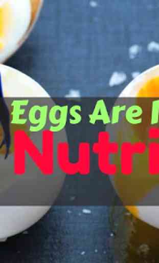 Health Benefits of Eggs 1