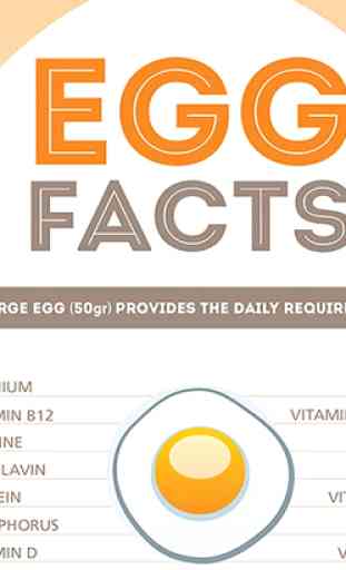 Health Benefits of Eggs 2