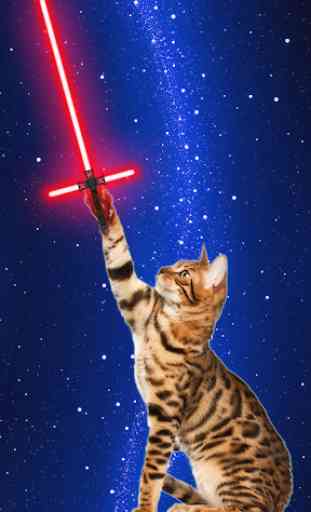 Neon Laser - Cat Toy 1