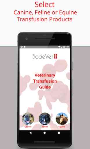 Veterinary Transfusion Guide 1