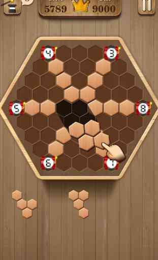 Wooden Hexagon Fit: Hexa Block Puzzle 1