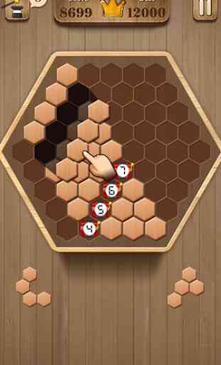Wooden Hexagon Fit: Hexa Block Puzzle 2