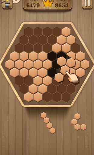 Wooden Hexagon Fit: Hexa Block Puzzle 3
