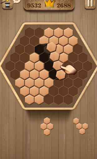 Wooden Hexagon Fit: Hexa Block Puzzle 4