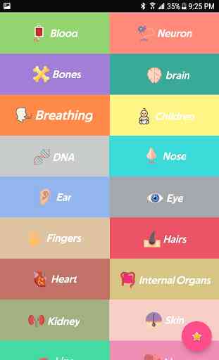 Human Body Facts 2
