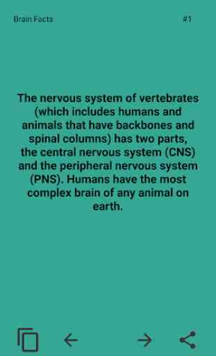 Human Body Facts 3
