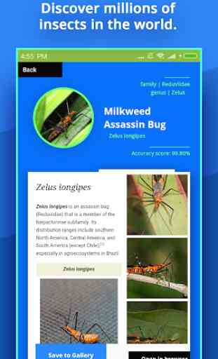 Insect Identifier 2