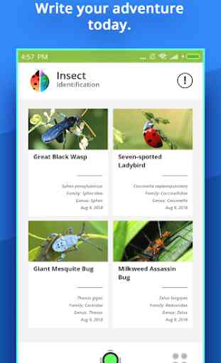 Insect Identifier 3