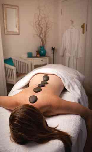 Massage Therapy Techniques 2