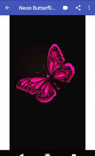 Neon Butterflies Wallpapers 4