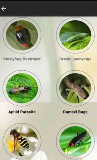Organic Garden Pest Management 3