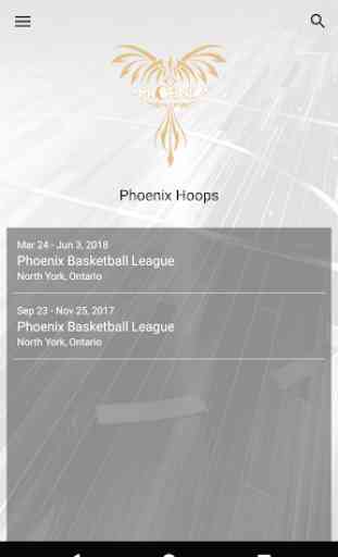 Phoenix Hoops 1