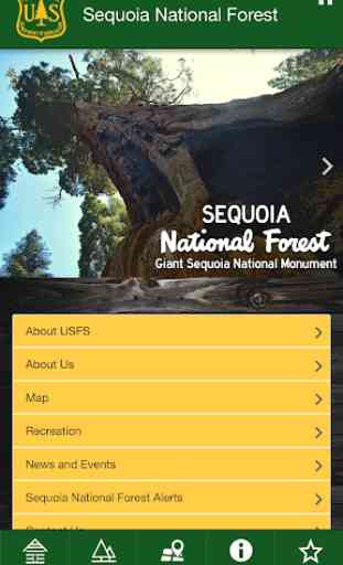 Sequoia National Forest 1