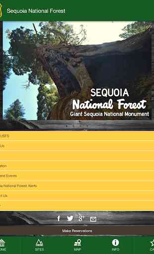 Sequoia National Forest 4