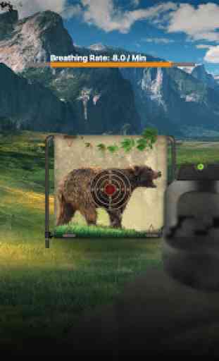 Bear Target Hunting 3