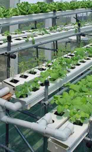 best hydroponic system 2