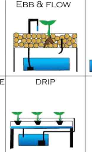 best hydroponic system 4