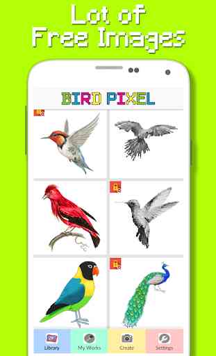 Bird Color By Number - Pixel Art 2