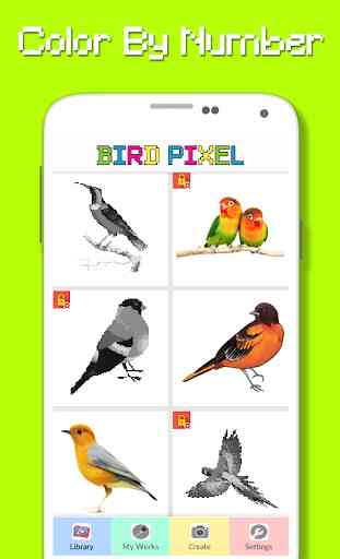 Bird Color By Number - Pixel Art 4