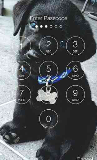 Cute Black Labrador Puppies Screen Lock 2