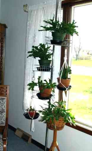 DIY Plant Stand 3