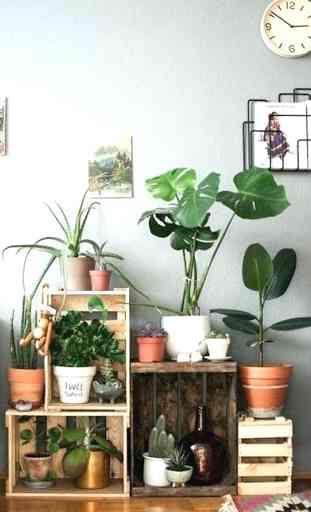 DIY Plant Stand 4