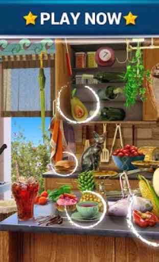 Hidden Objects Messy Kitchen 4