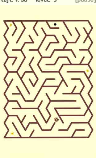 Labyrinth Puzzles: Maze-A-Maze 2