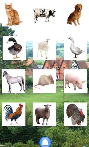 Sounds of Farm Animals 2
