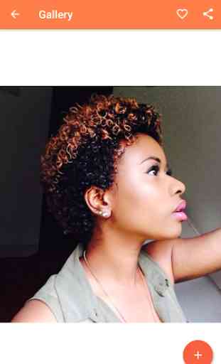 African Short Hairstyle 4