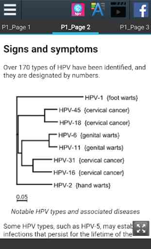 HPV Info 2