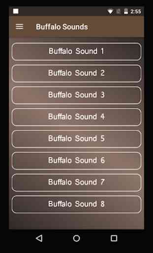 Buffalo Sounds 1