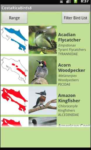 Costa Rica Birds Fieldguide 2