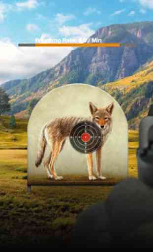 Coyote Target Shooting 3