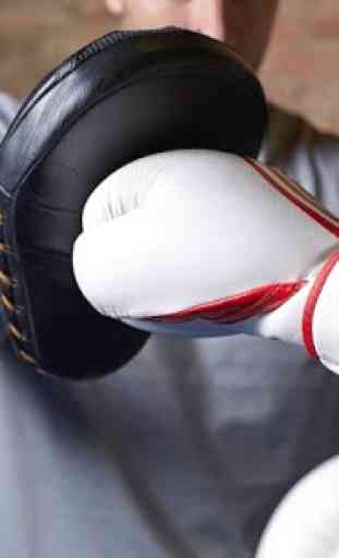 Kick boxing 2