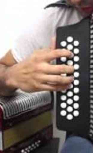 Learn to play accordion lessons 1