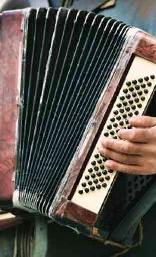Learn to play accordion lessons 3