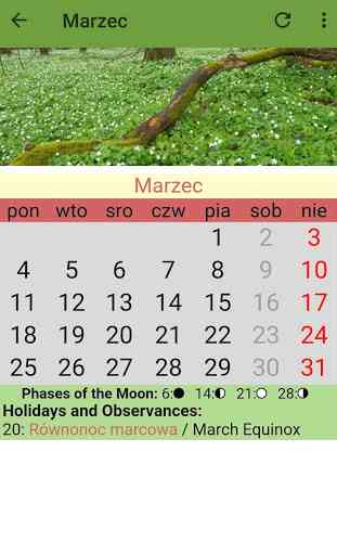 Polish Calendar 2020 4