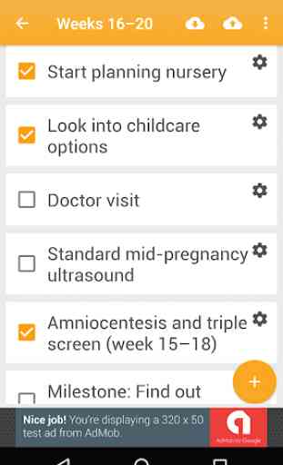 Pregnancy Checklist 2