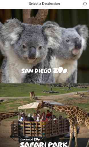 San Diego Zoo 1