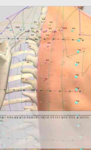 The Acupuncture of Extra Point Lite 4