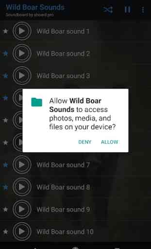 Wild Boar Sounds ~ Sboard.pro 2