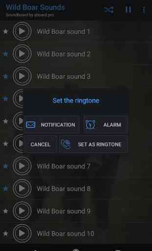Wild Boar Sounds ~ Sboard.pro 4