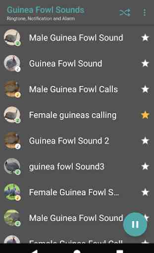 Appp.io - Guinea Fowl Sounds & Calls 2