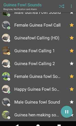Appp.io - Guinea Fowl Sounds & Calls 3