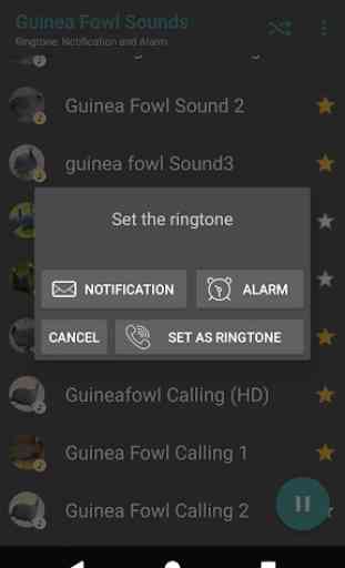Appp.io - Guinea Fowl Sounds & Calls 4