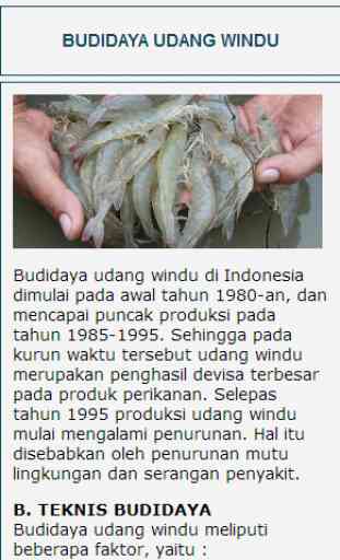 Budidaya Ikan 3